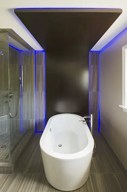 Chromotherapy in Main Bathroom - Image 37