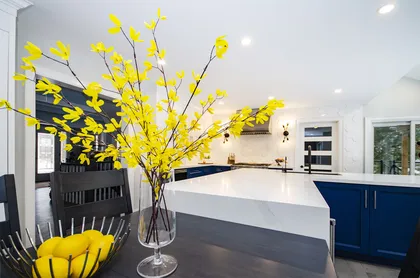 Transitional White & Blue Kitchen with Some Gold - Image 12